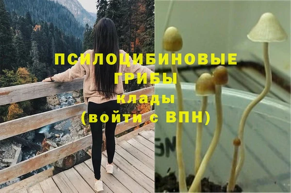 бутират Армянск