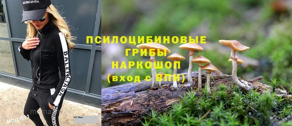 соль ск Аркадак